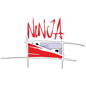 ninjatheorylogo[1]